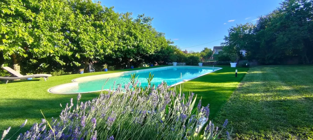 Piscine 6 par 12 mètres du Clos Lagrange entourée de pelouse et de lavande en fleur